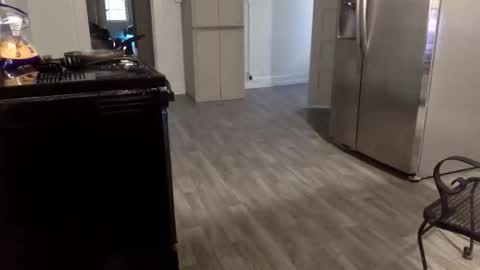 tnich28 online show from January 2026 11:42:02 PM