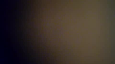 Vols online show from February 2025 04:11:02 PM