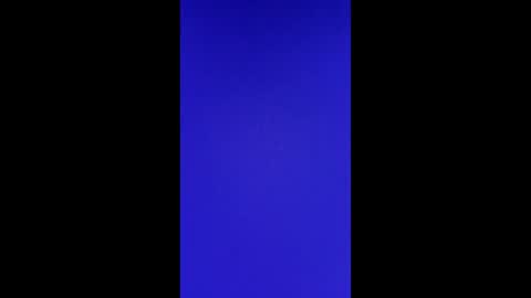 Vols online show from February 2025 02:58:02 PM