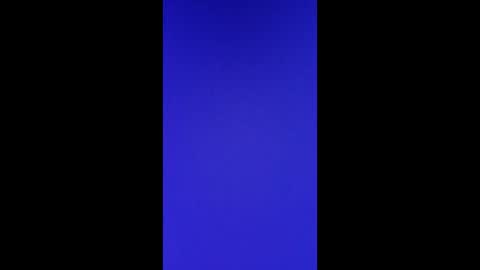 Vols online show from February 2025 11:47:02 AM