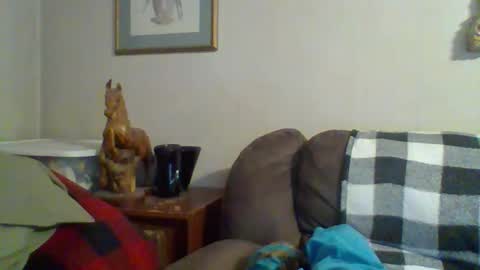 Vols online show from November 2025 12:10:02 AM