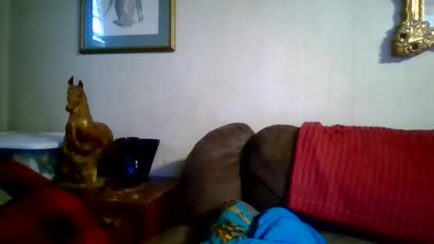 Vols online show from January 2026 09:28:02 PM