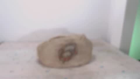 David online show from February 2025 09:16:01 AM