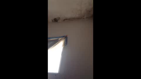 tolenevelyn46 online show from June 2026 10:04:02 PM