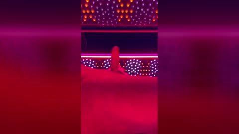 tomandnika online show from April 2026 09:02:01 AM