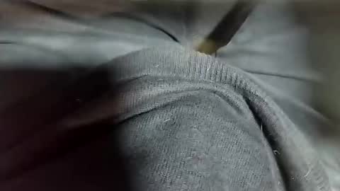 Tomas online show from February 2025 10:37:01 PM