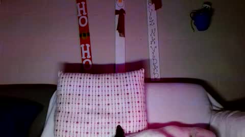 tomas gerauld. make me happy with 10000 tokens online show from December 2024 03:14:02 AM