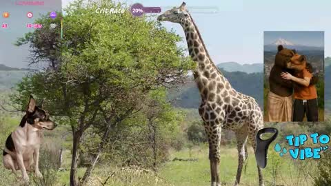 Snapshot of tomaz62a chatting on October 2025 08:42:01 PM Tomaz62a online show from October 2025 08:42:01 PM