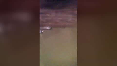 tomcop11111 online show from March 2026 09:20:01 AM