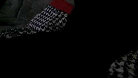 Bima online show from January 2025 07:04:02 AM