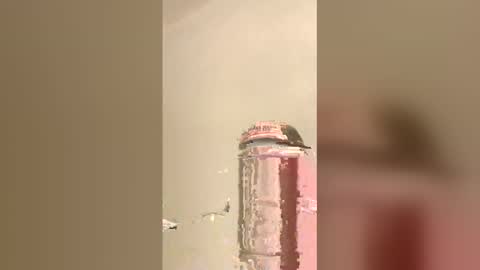 Snapshot of tommygun4969 chatting on February 2026 12:37:02 AM tommygun4969 online show from February 2026 12:37:02 AM