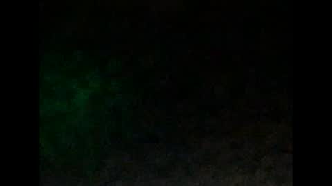 tonyd online show from January 2025 10:05:01 AM