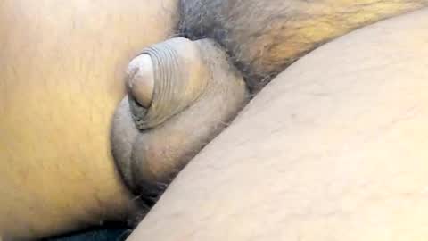 tonyisback2023 online show from March 2025 04:17:02 AM