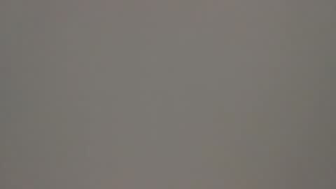 Tony online show from February 2025 11:10:02 AM