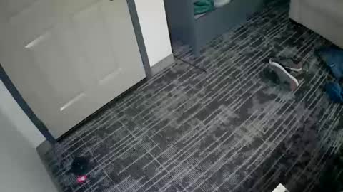 toomuchsmoke online show from October 2025 03:58:02 AM