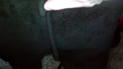 Topg84 online show from December 2024 02:59:01 PM