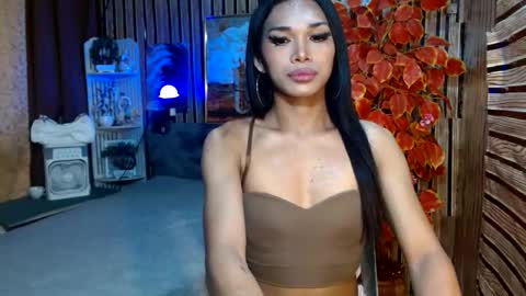 Snapshot of toptrans_venice chatting on February 2026 11:50:02 AM toptrans venice online show from February 2026 11:50:02 AM