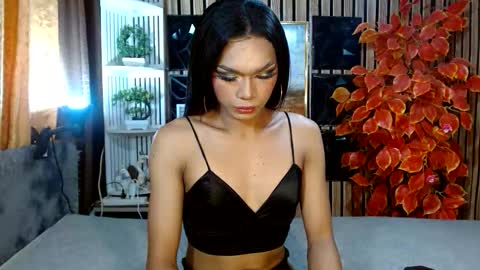 Snapshot of toptrans_venice chatting on February 2026 06:26:01 AM toptrans venice online show from February 2026 06:26:01 AM