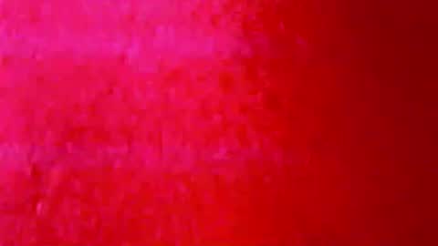 tornne online show from March 2026 11:05:01 PM