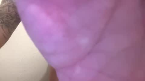 toronto5656 online show from February 2025 05:07:02 AM