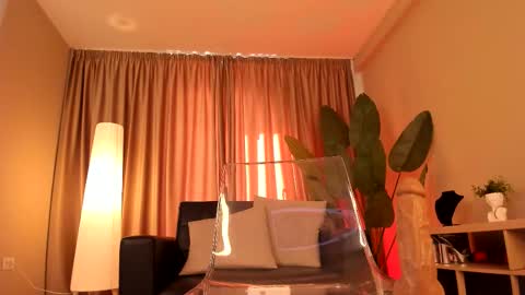 torri kitten online show from March 2026 08:28:01 AM