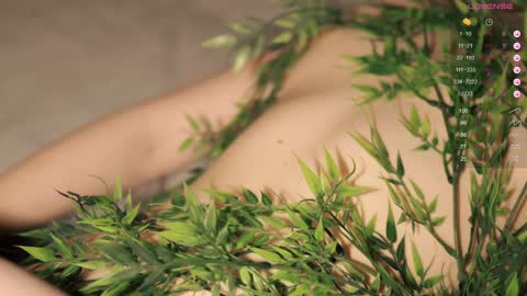 Toshi online show from January 2025 01:05:02 PM