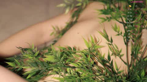 Toshi online show from September 2025 01:02:02 PM