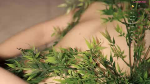 Toshi online show from October 2025 01:01:01 PM