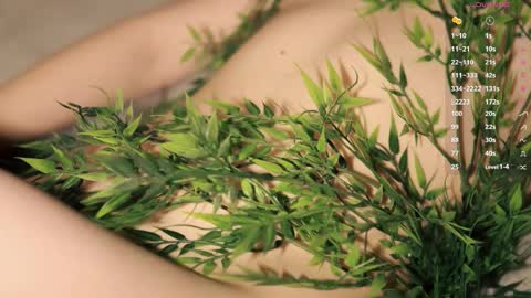 Toshi online show from December 2025 01:05:02 PM