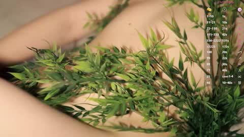 Toshi online show from March 2026 01:01:01 PM