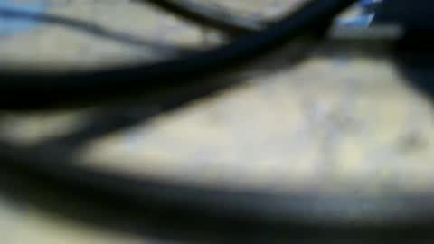 trailblazer1969 online show from June 2026 07:03:02 PM