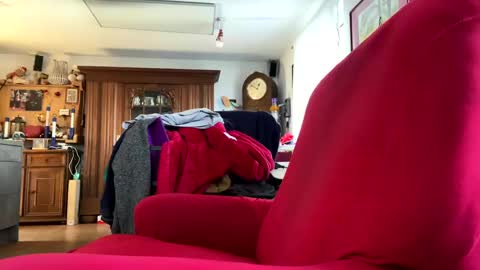 trebgeis1 online show from February 2025 11:44:02 AM