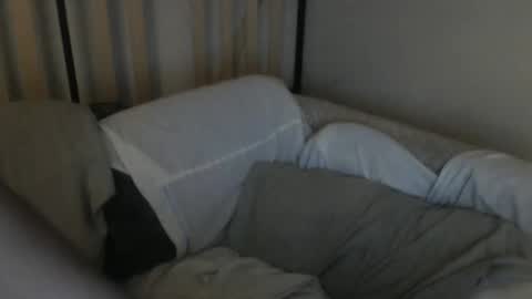 TreeHugger queer online show from October 2025 10:14:01 AM