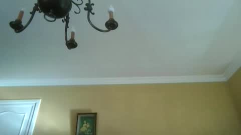 trekbeestje online show from April 2026 07:52:01 AM