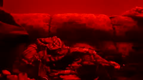 Snapshot of tretrix5588 chatting on January 2025 10:51:01 AM tretrix5588 online show from January 2025 10:51:01 AM