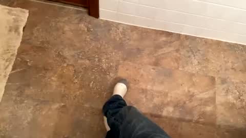 Mystic allusion online show from December 2024 11:19:01 PM