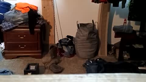 trickywalker8 online show from November 2025 11:36:02 PM