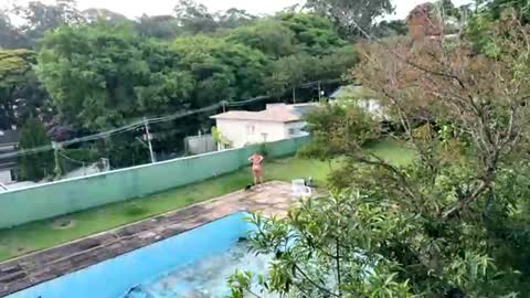 trigood online show from November 2025 09:17:01 PM