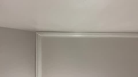 WapBopper online show from December 2024 09:17:02 AM