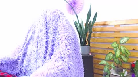 Snapshot of trix_fiore_oficial chatting on February 2026 06:34:02 AM Trix online show from February 2026 06:34:02 AM