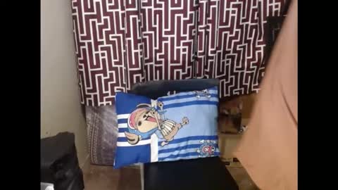 SARCY online show from February 2026 11:14:02 PM