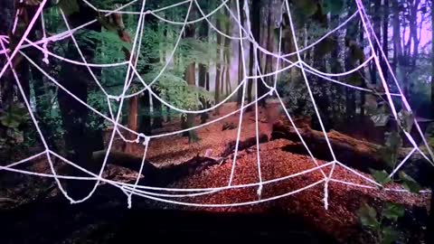 Snapshot of tsblondienyc chatting on October 2025 08:00:02 PM Jessie online show from October 2025 08:00:02 PM