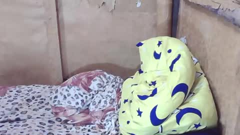 carmella online show from December 2024 02:38:02 AM