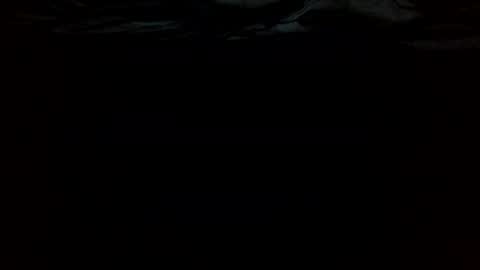 ttess0742 online show from June 2026 02:36:01 AM