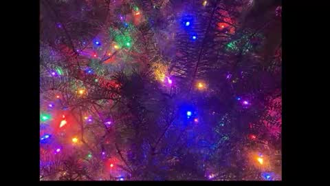 tttww33 online show from December 2025 06:24:02 PM