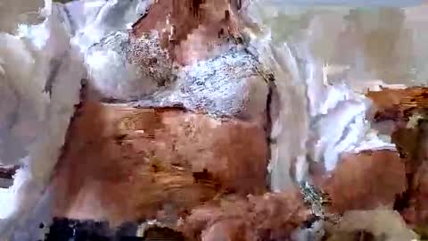 FINN but call me NANNA online show from September 2025 12:59:02 PM