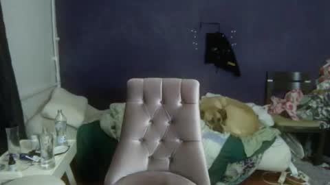 turkishtranswithsurgery online show from December 2025 01:51:01 PM