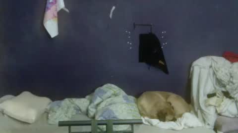 turkishtranswithsurgery online show from April 2026 08:47:01 PM