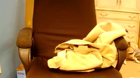 Turnmetrans online show from March 2026 09:51:01 PM