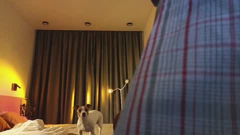 Ariana online show from December 2025 09:46:02 PM